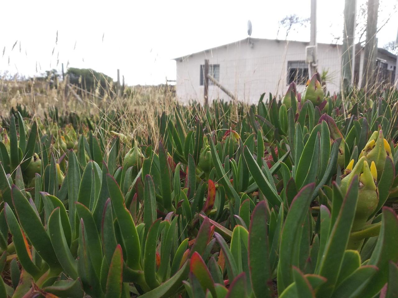 La Casa De Juan Villa Cuchilla Alta Exterior foto
